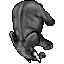 noimg