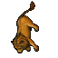 noimg
