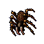 noimg